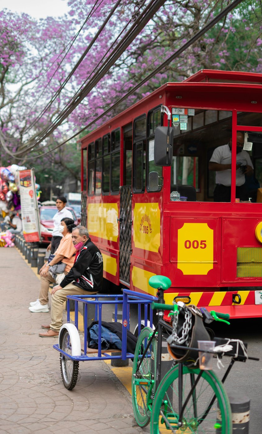 People on a Mexico City street beside a red tram and blooming jacaranda trees.