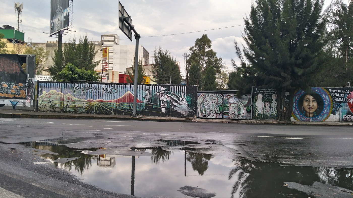 A wet street with graffiti and street art in Mexico City.