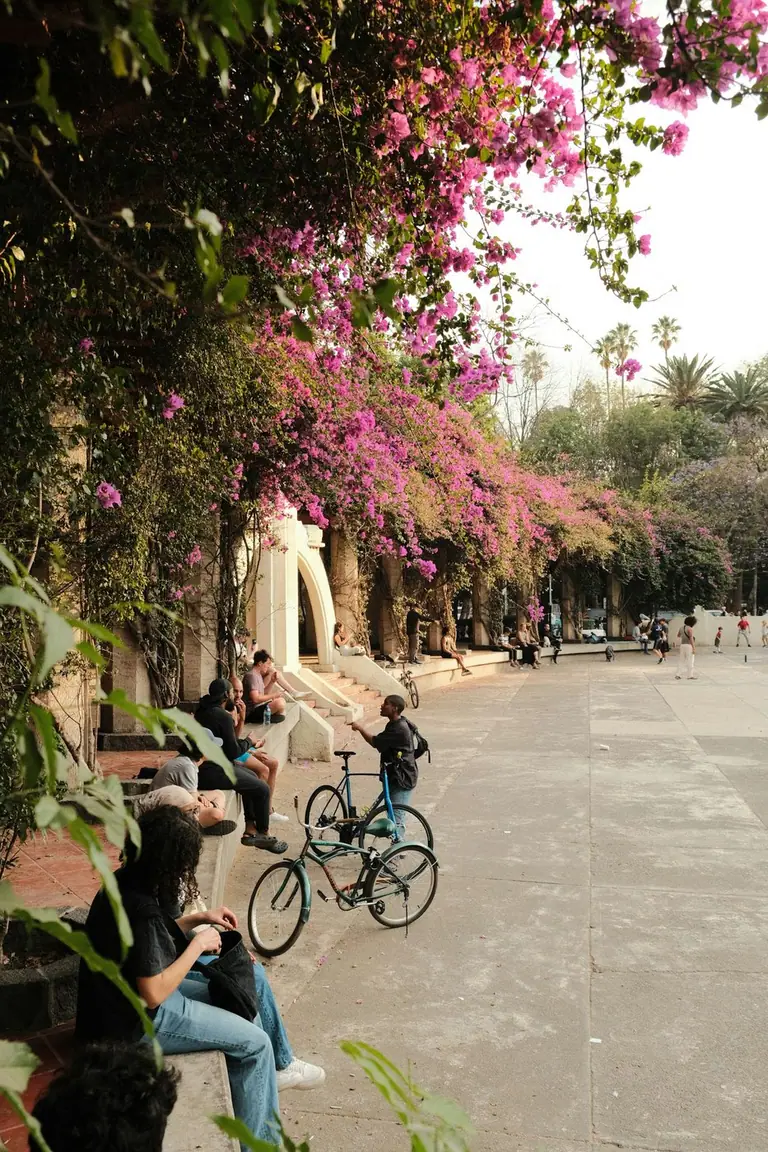 A group of people riding bikes down a street in Mexico.