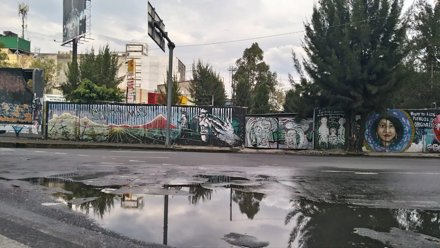 A wet street with graffiti and street art in Mexico City.