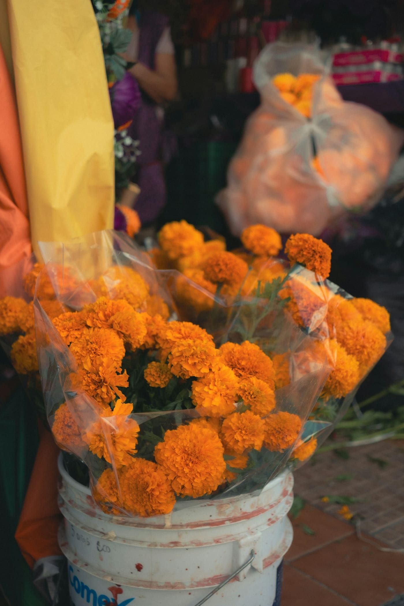 Bunches of orange marigolds standing in a bucket.