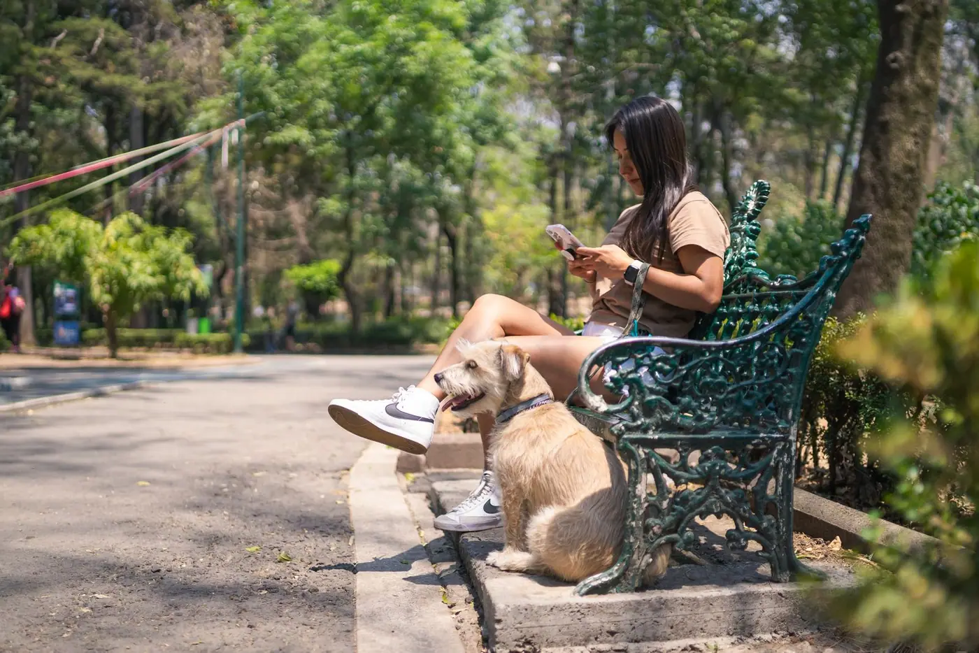 A woman sitting on a park bench in Mexico City with her dog.