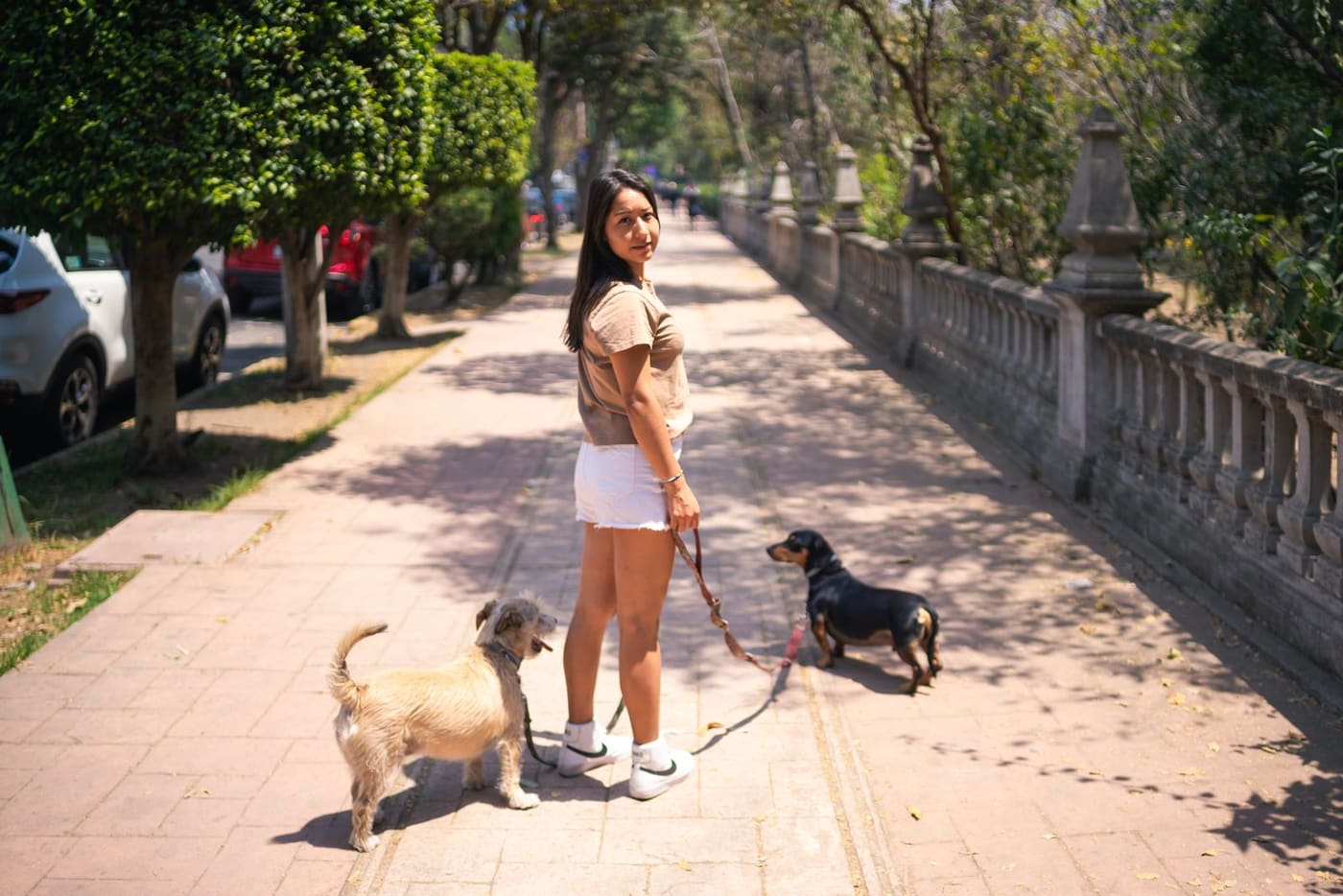 A woman walking two dogs on leashes through a Mexico City park.