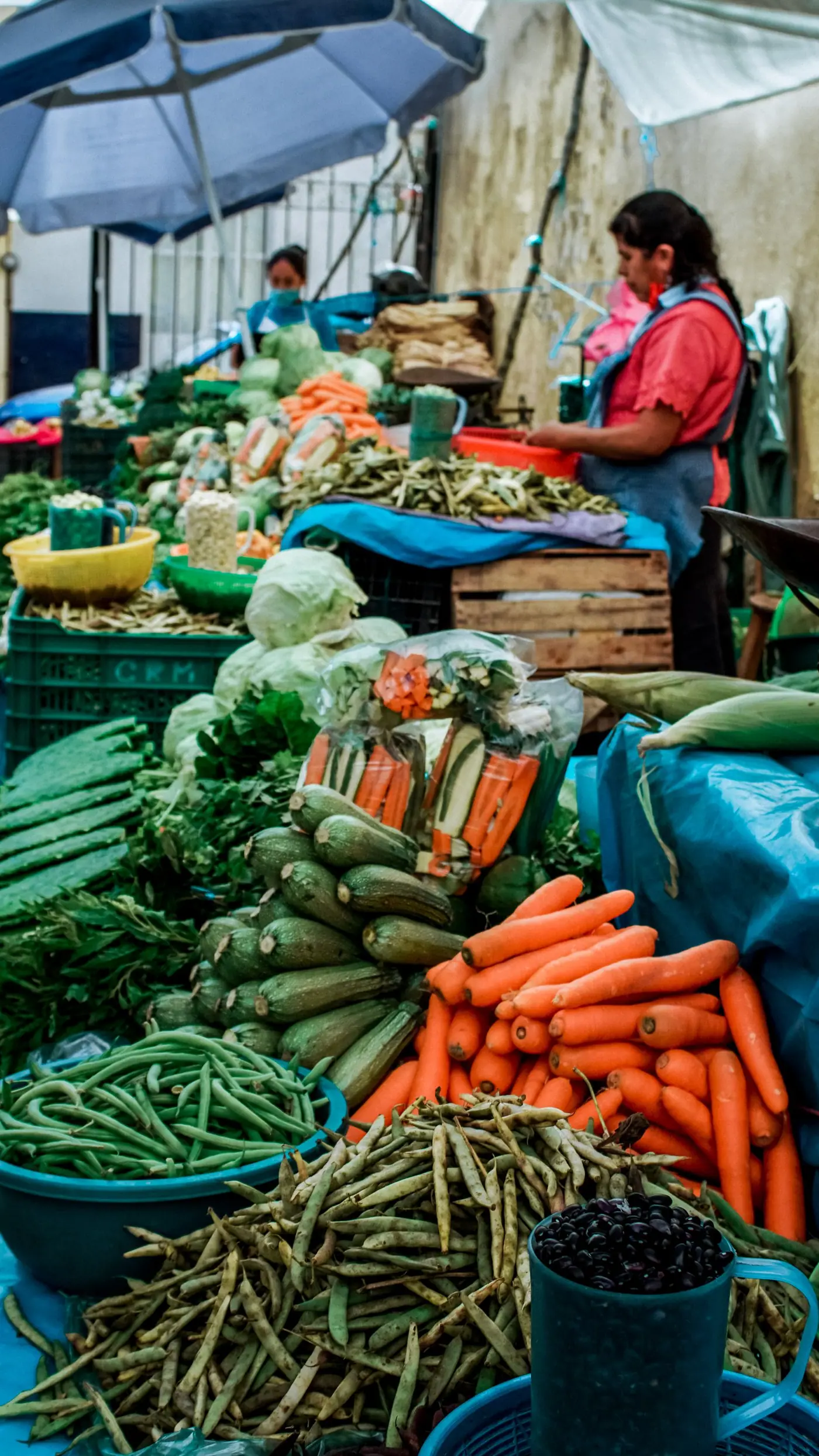 Vegetable sellers behind a stacked produce stall at a Mexican market.