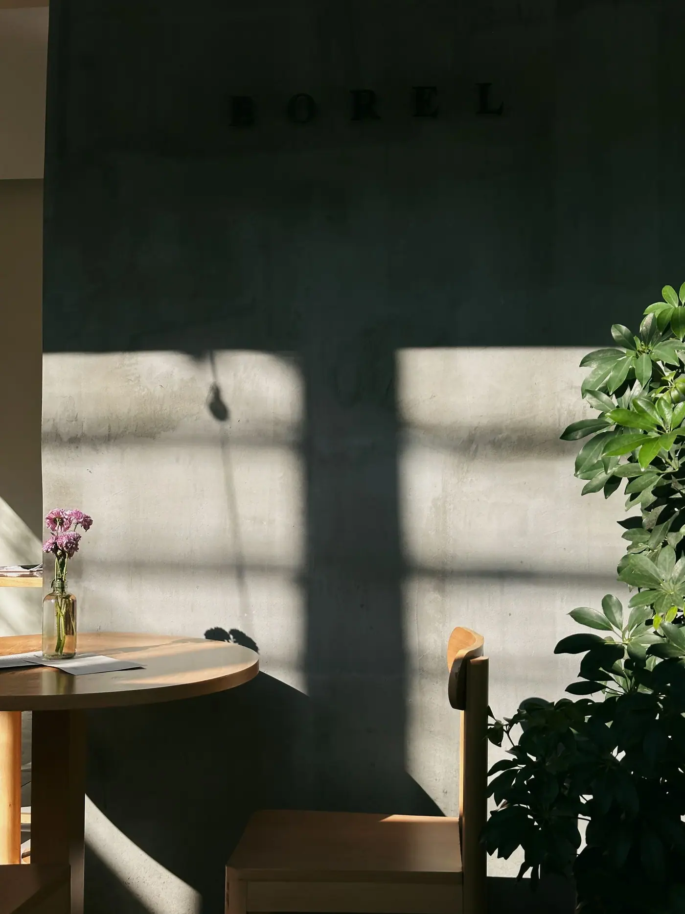 A sunlit cafe corner in Mexico City.