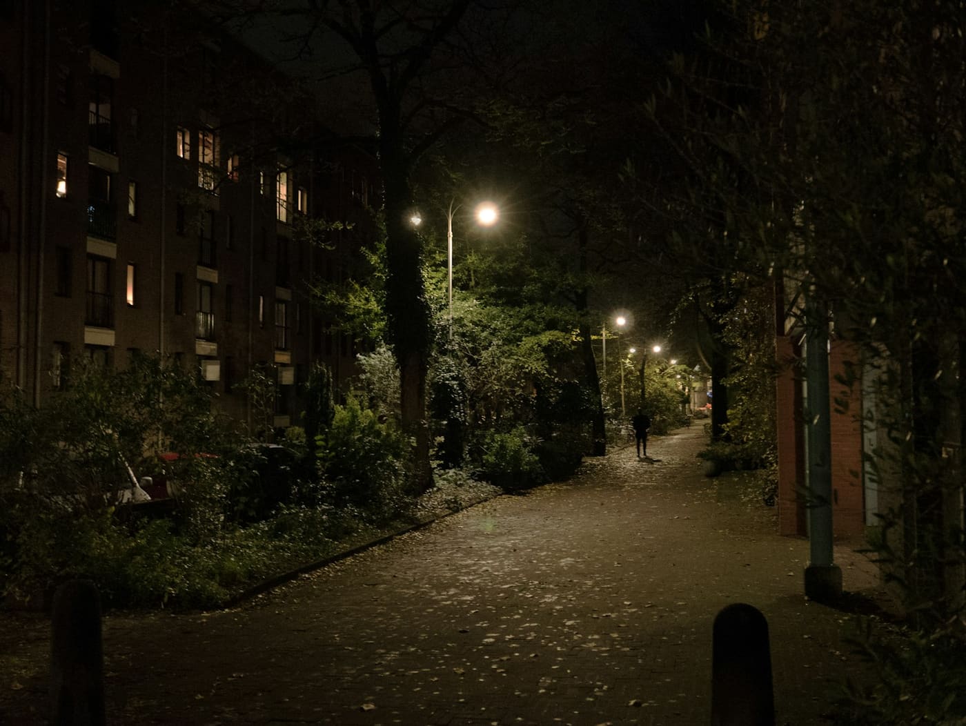 A dark street lit by street lamps late at night.