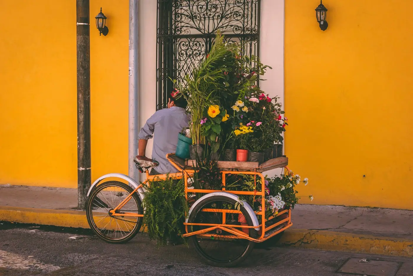 A flower vendor's tricycle cart loaded with blooms parked against a bright yellow wall in Mexico.