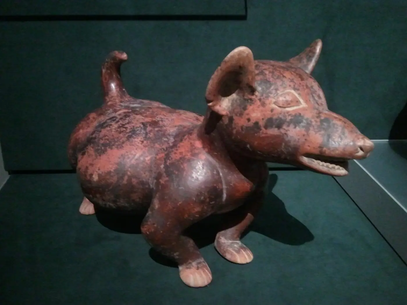 A pre-Hispanic ceramic effigy of a hairless dog