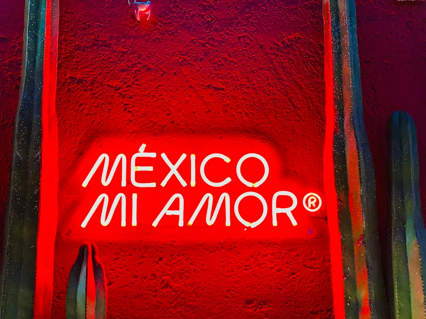 A neon sign reading Mexico Mi Amor glowing red against a wall.