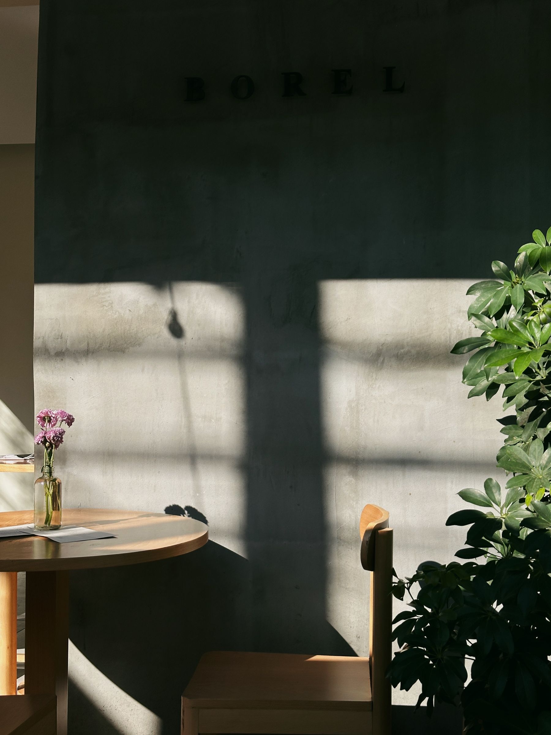 A sunny cafe corner in Mexico City.