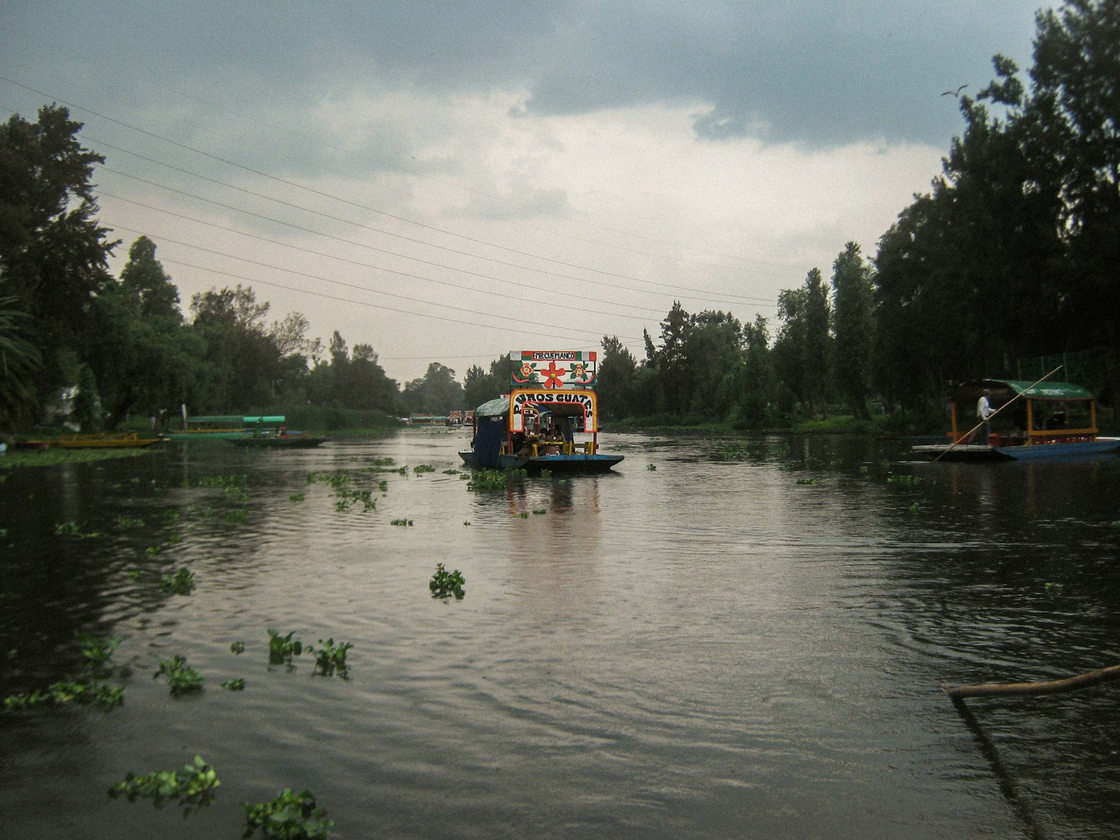 A boat traveling down a wide canal lined with trees.