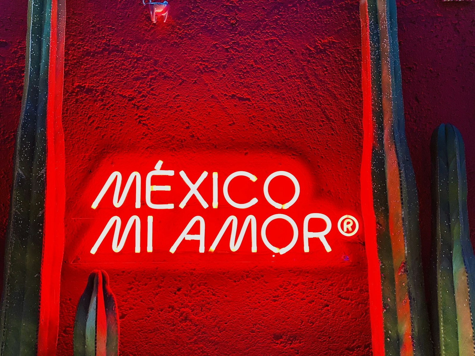 A neon sign reading Mexico Mi Amor glowing red against a wall.